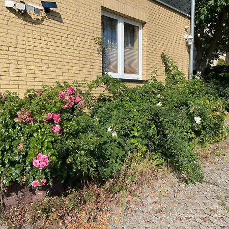 Old Huesung - Muz324 By Interhome 미로우