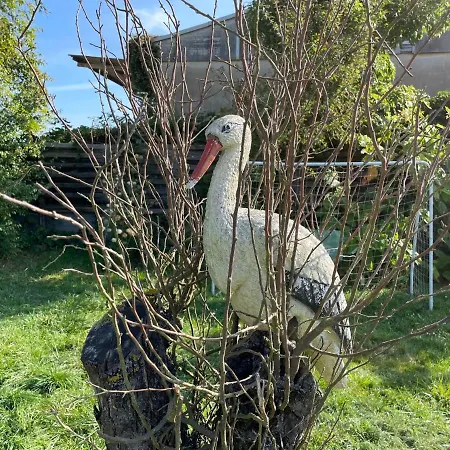 Old Huesung - Muz324 By Interhome 미로우