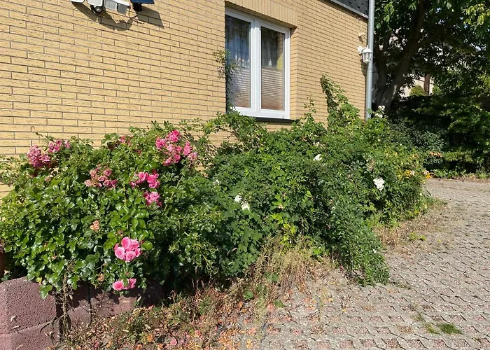 Old Huesung - Muz324 By Interhome ミロー