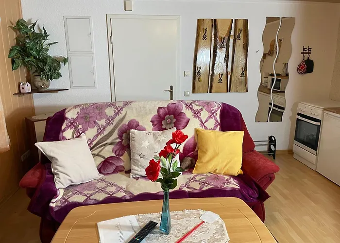 アパート Old Huesung - Muz324 By Interhome ミロー